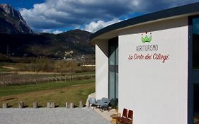 Agritur La Corte Dei Ciliegi
